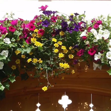 弗拉绍水晶石公寓