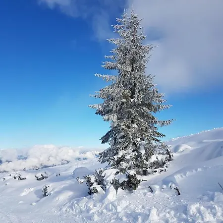 Διαμέρισμα Flachauer Bergkristall