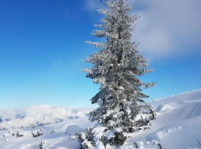 Appartement Flachauer Bergkristall